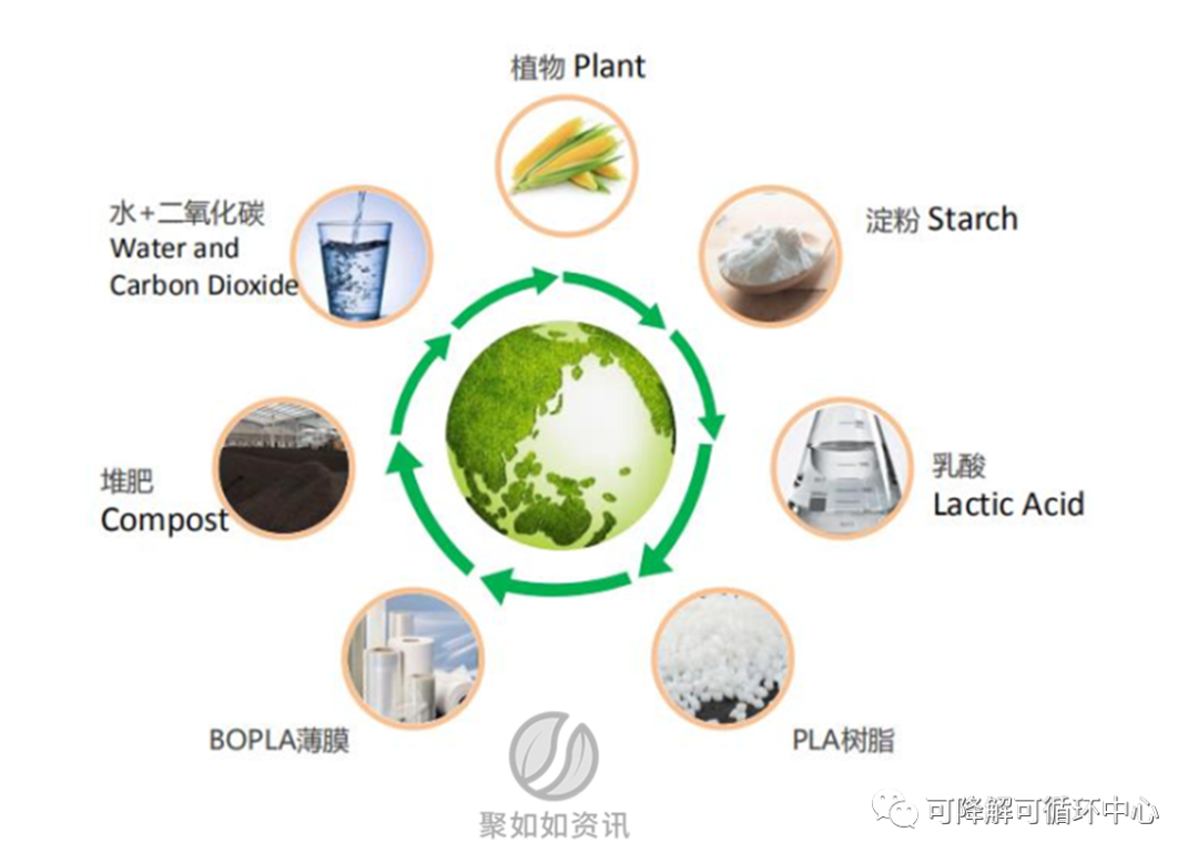 中侖新材IPO受理，擬建2萬噸高端BOPLA薄膜